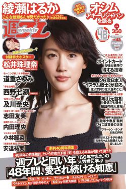 正气寻妇录